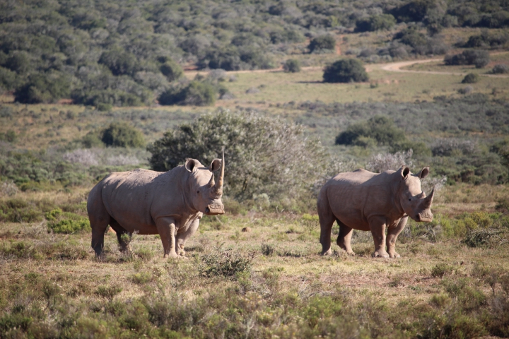 ../photos/SAMOZ19/Emma/IMG_4215.jpg?t=1775440094