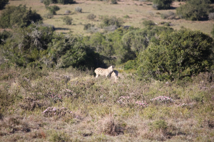 ../photos/SAMOZ19/Emma/IMG_4220.jpg?t=1775440094