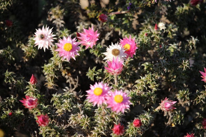 ../photos/SAMOZ19/Emma/IMG_4221.jpg?t=1775440094