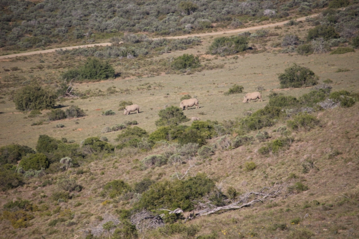 ../photos/SAMOZ19/Emma/IMG_4228.jpg?t=1775440094