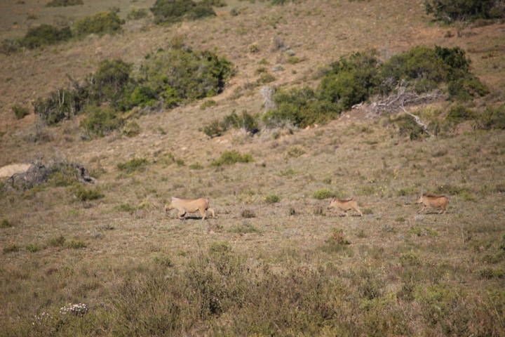 ../photos/SAMOZ19/Emma/IMG_4248.jpg?t=1775440094