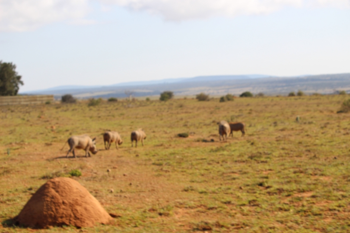 ../photos/SAMOZ19/Emma/IMG_4267.jpg?t=1775440094