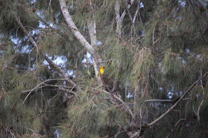 ../photos/SAMOZ19/Emma/IMG_4293.jpg?t=1775440094