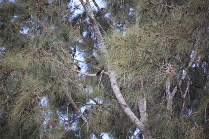 ../photos/SAMOZ19/Emma/IMG_4296.jpg?t=1775440094