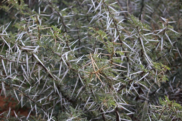 ../photos/SAMOZ19/Emma/IMG_4299.jpg?t=1775440094