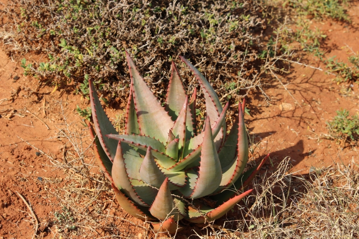 ../photos/SAMOZ19/Emma/IMG_4301.jpg?t=1775440094