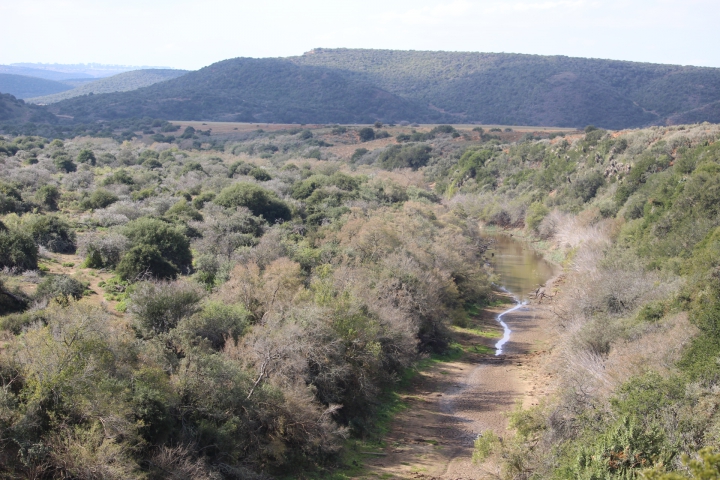 ../photos/SAMOZ19/Emma/IMG_4305.jpg?t=1775440094