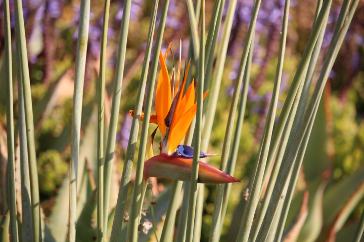 ../photos/SAMOZ19/Emma/IMG_4312.jpg?t=1775440094