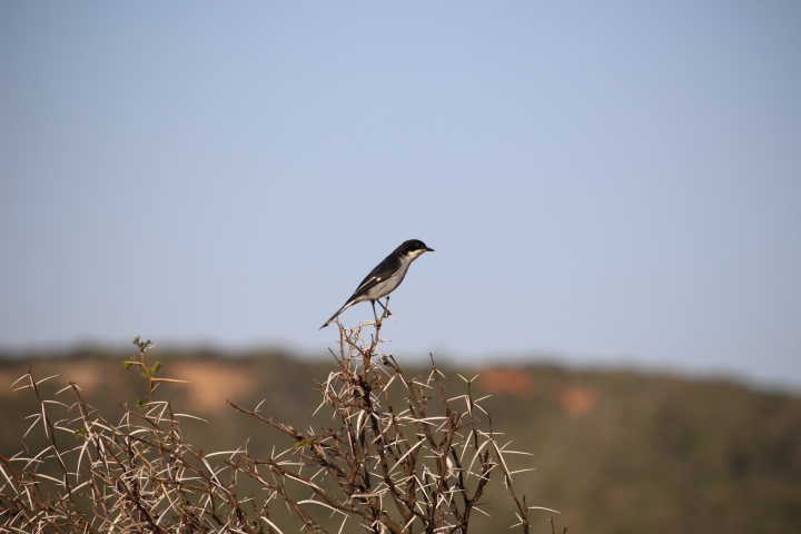 ../photos/SAMOZ19/Emma/IMG_4325.jpg?t=1775440094