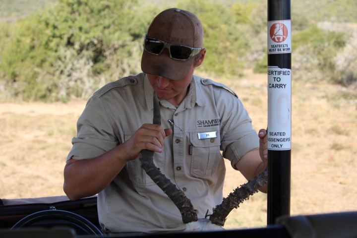 ../photos/SAMOZ19/Emma/IMG_4326.jpg?t=1775440094