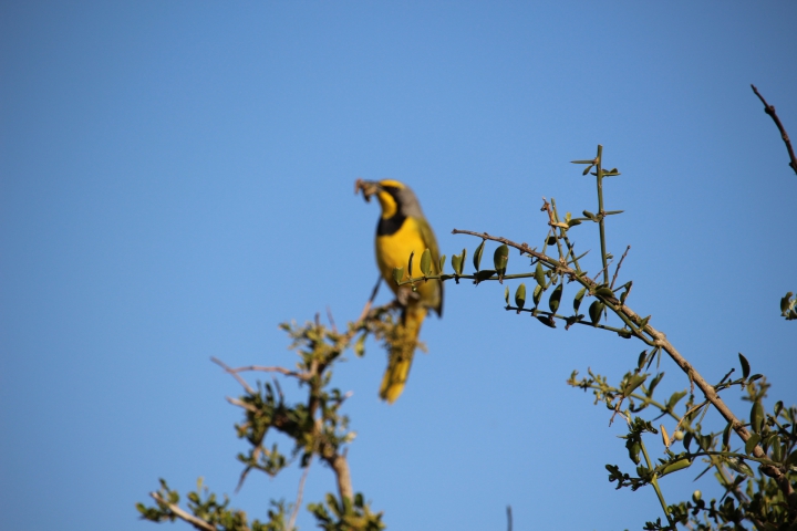 ../photos/SAMOZ19/Emma/IMG_4328.jpg?t=1775440094