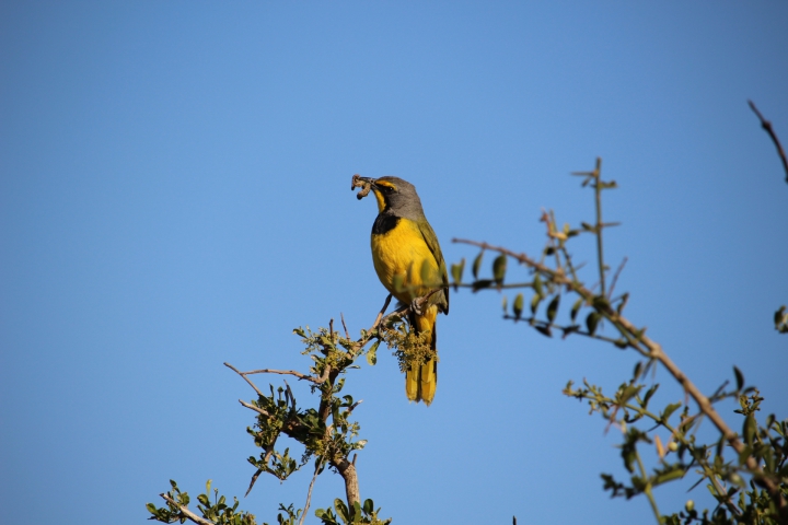 ../photos/SAMOZ19/Emma/IMG_4330.jpg?t=1775440094