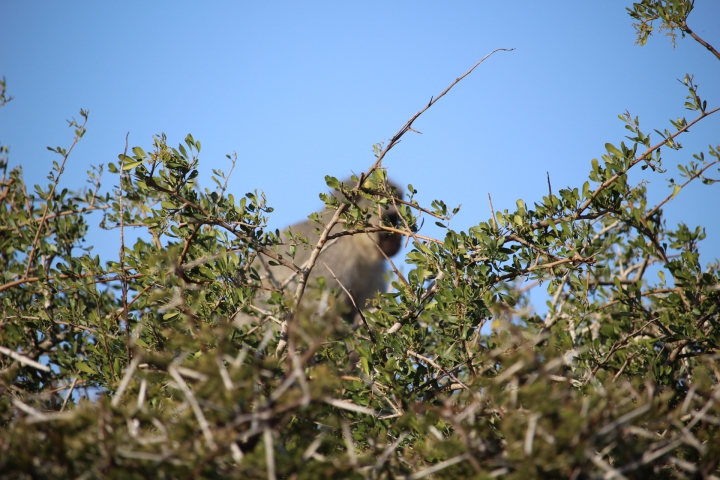 ../photos/SAMOZ19/Emma/IMG_4333.jpg?t=1775440094