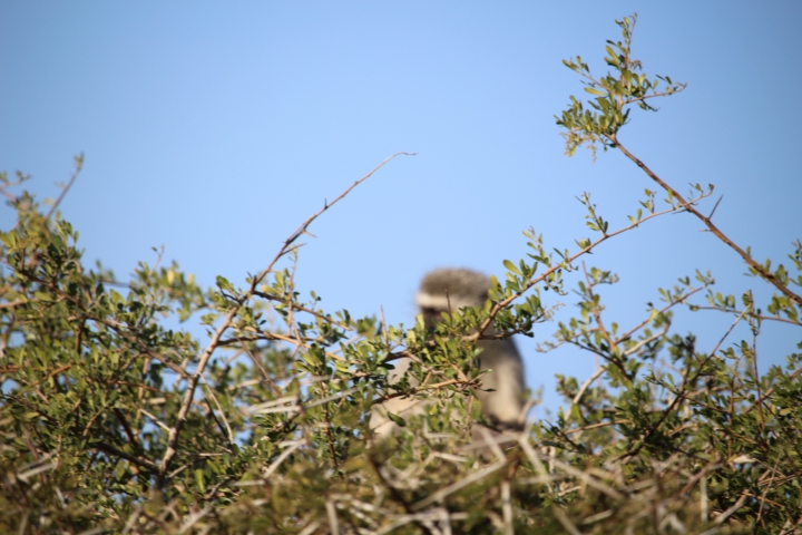 ../photos/SAMOZ19/Emma/IMG_4335.jpg?t=1775440094