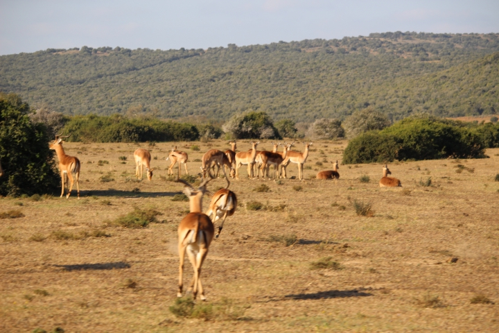 ../photos/SAMOZ19/Emma/IMG_4336.jpg?t=1775440094