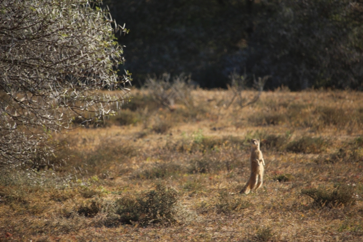 ../photos/SAMOZ19/Emma/IMG_4338.jpg?t=1775440094