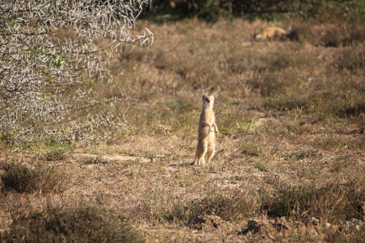 ../photos/SAMOZ19/Emma/IMG_4340.jpg?t=1775440094