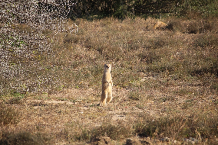 ../photos/SAMOZ19/Emma/IMG_4341.jpg?t=1775440094