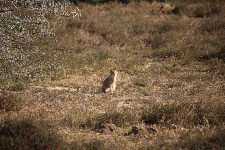 ../photos/SAMOZ19/Emma/IMG_4343.jpg?t=1775440094