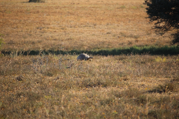 ../photos/SAMOZ19/Emma/IMG_4345.jpg?t=1775440094