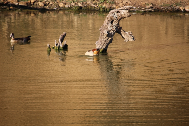 ../photos/SAMOZ19/Emma/IMG_4348.jpg?t=1775440094