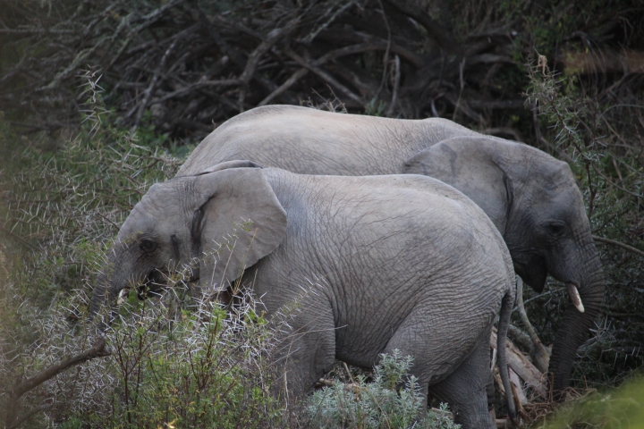 ../photos/SAMOZ19/Emma/IMG_4349.jpg?t=1775440094