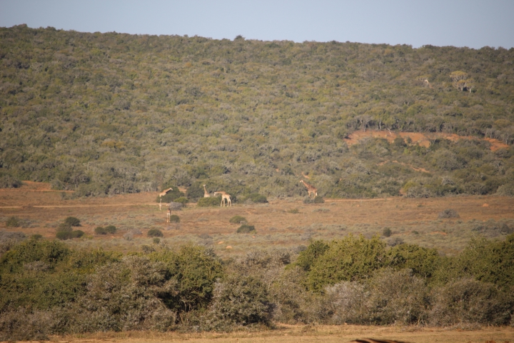 ../photos/SAMOZ19/Emma/IMG_4353.jpg?t=1775440094