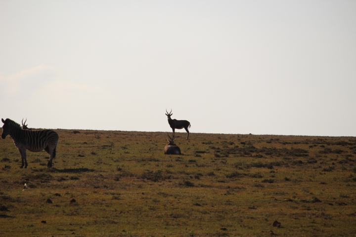 ../photos/SAMOZ19/Emma/IMG_4355.jpg?t=1775440094