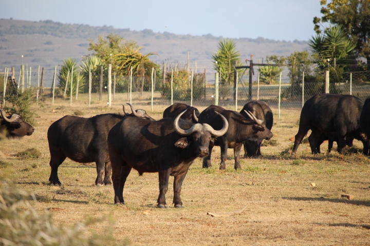 ../photos/SAMOZ19/Emma/IMG_4357.jpg?t=1775440094