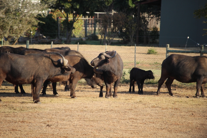 ../photos/SAMOZ19/Emma/IMG_4361.jpg?t=1775440094