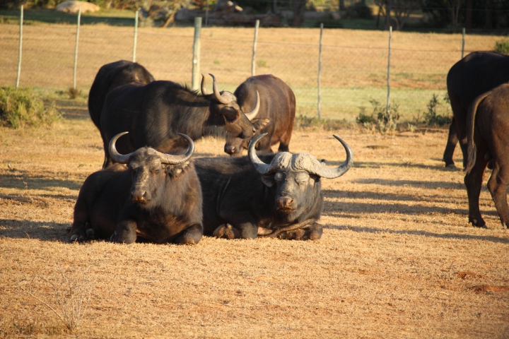 ../photos/SAMOZ19/Emma/IMG_4364.jpg?t=1775440094