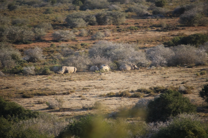 ../photos/SAMOZ19/Emma/IMG_4366.jpg?t=1775440094