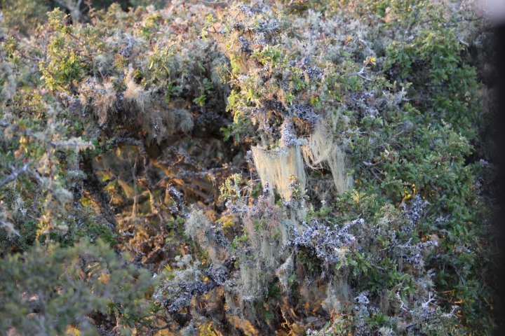 ../photos/SAMOZ19/Emma/IMG_4464.jpg?t=1775440094