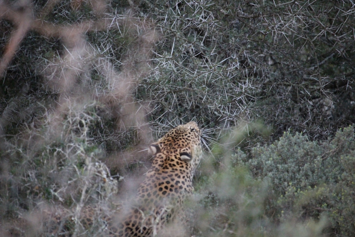 ../photos/SAMOZ19/Emma/IMG_4468.jpg?t=1775440094