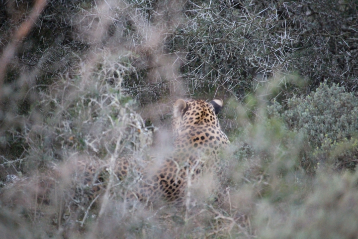 ../photos/SAMOZ19/Emma/IMG_4470.jpg?t=1775440094