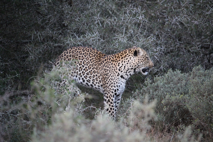 ../photos/SAMOZ19/Emma/IMG_4473.jpg?t=1775440094