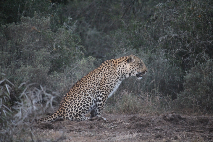 ../photos/SAMOZ19/Emma/IMG_4474.jpg?t=1775440094