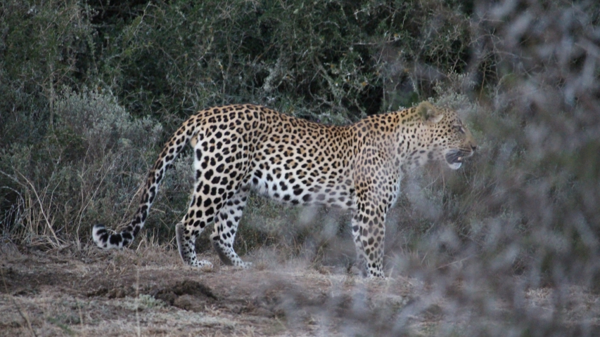 ../photos/SAMOZ19/Emma/IMG_4475.jpg?t=1775440094