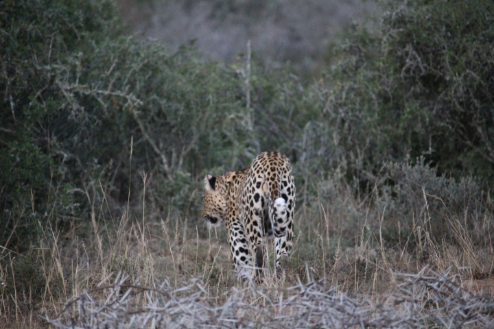 ../photos/SAMOZ19/Emma/IMG_4477.jpg?t=1775440094