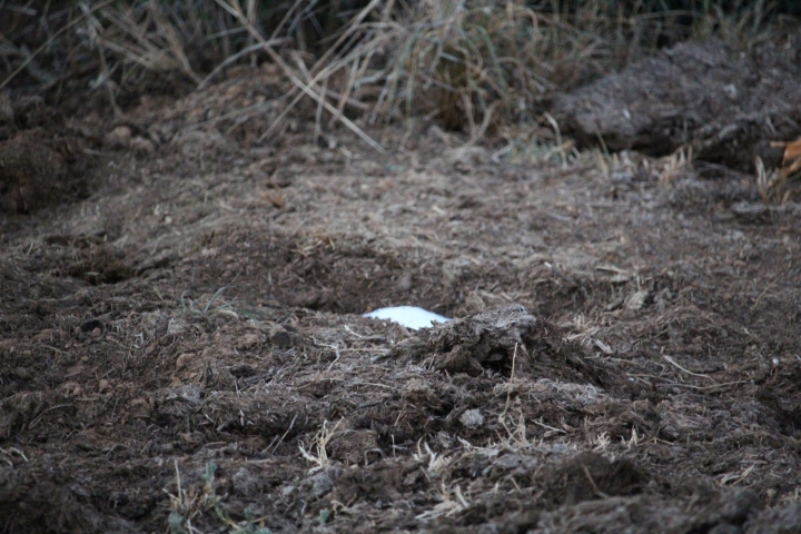 ../photos/SAMOZ19/Emma/IMG_4479.jpg?t=1775440094