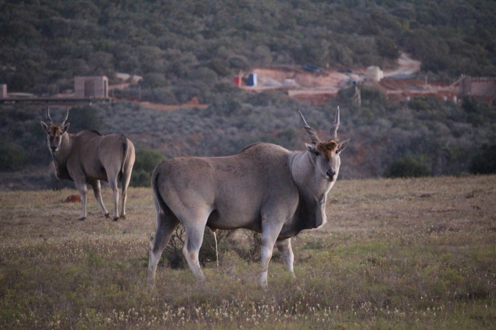 ../photos/SAMOZ19/Emma/IMG_4484.jpg?t=1775440094