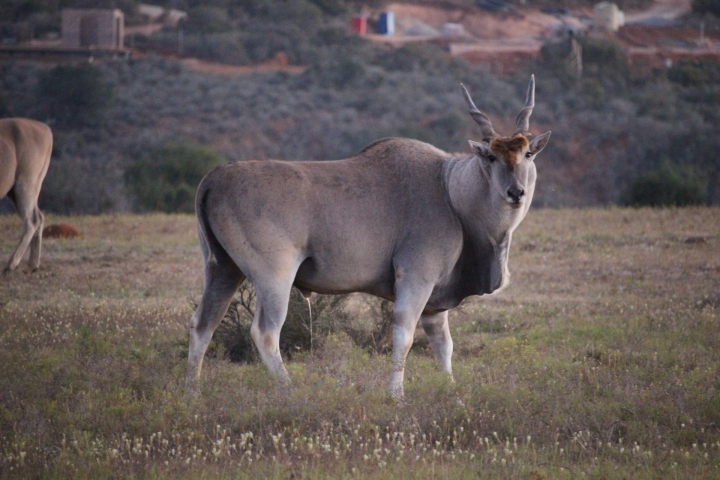 ../photos/SAMOZ19/Emma/IMG_4486.jpg?t=1775440094