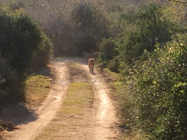 ../photos/SAMOZ19/Emma/IPH_4678.jpg?t=1775417854