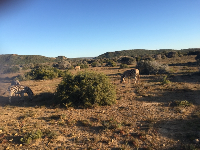 ../photos/SAMOZ19/Emma/IPH_4685.jpg?t=1775417854