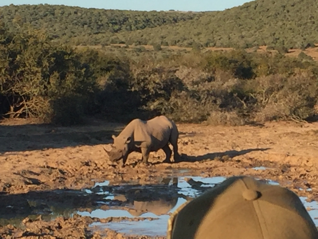 ../photos/SAMOZ19/Emma/IPH_4688.jpg?t=1775417854