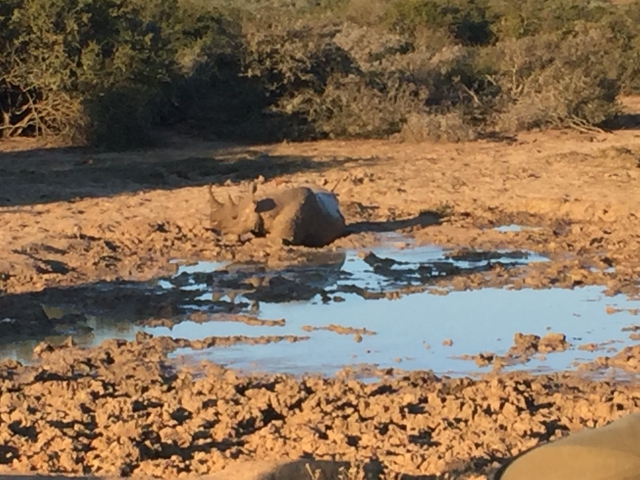 ../photos/SAMOZ19/Emma/IPH_4691.jpg?t=1775417854