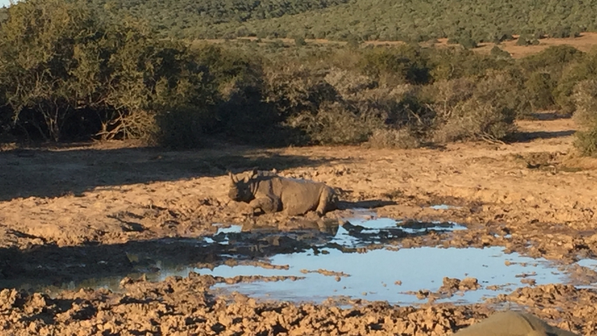 ../photos/SAMOZ19/Emma/IPH_4695.jpg?t=1775417854