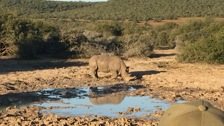 ../photos/SAMOZ19/Emma/IPH_4708.jpg?t=1775417854