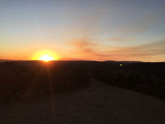 ../photos/SAMOZ19/Emma/IPH_4731.jpg?t=1775417854