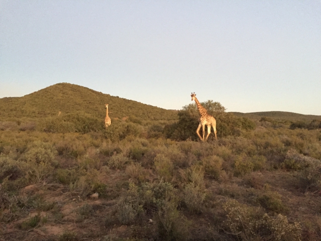 ../photos/SAMOZ19/Emma/IPH_4736.jpg?t=1775417854